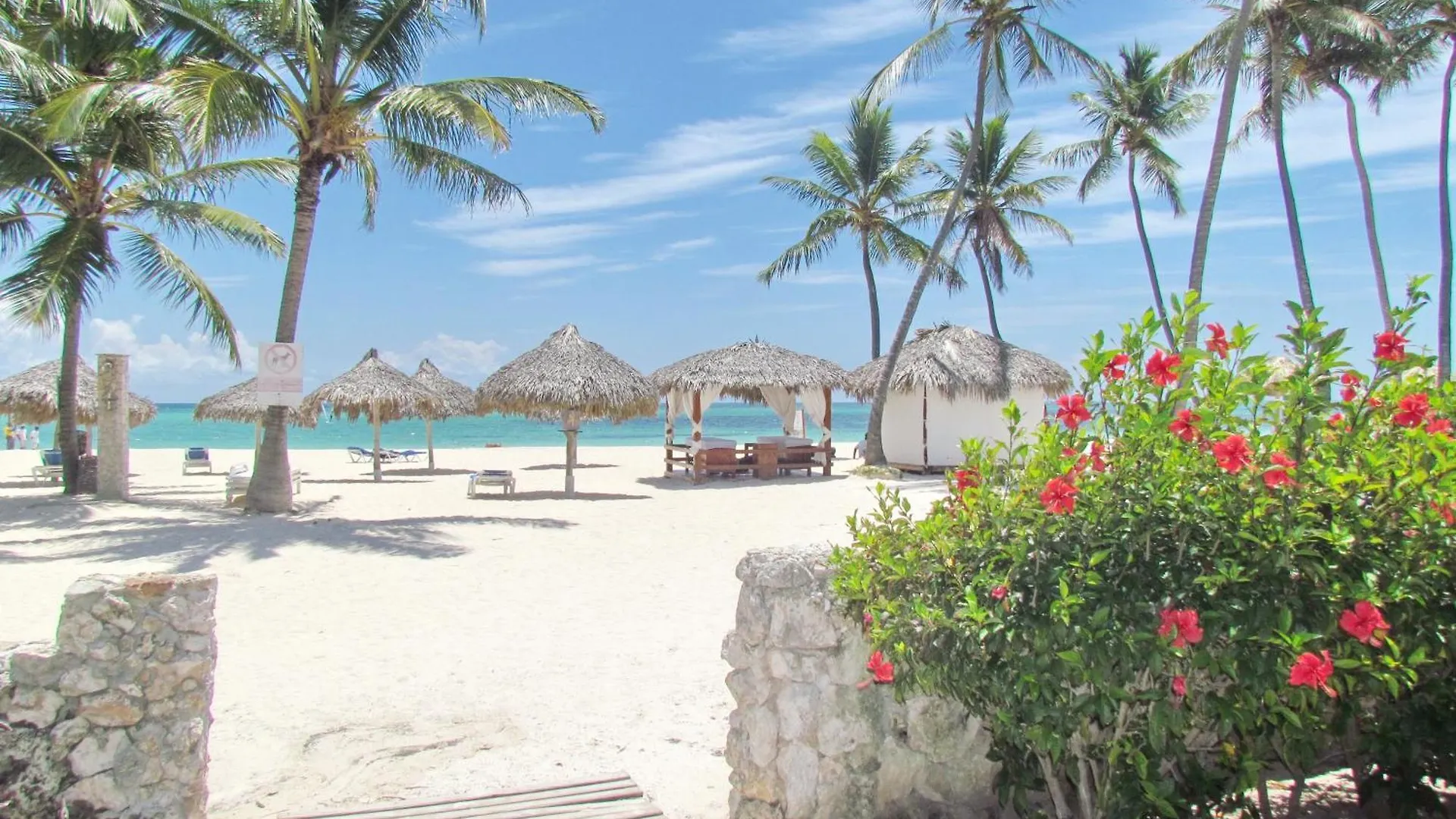 Ducassi Suites Rooftop Pool - Beach Club And Spa Punta Cana Den Dominikanske Republik